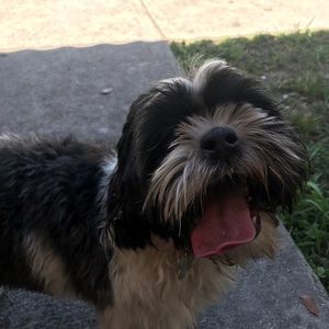 Meet your Posher, Roger